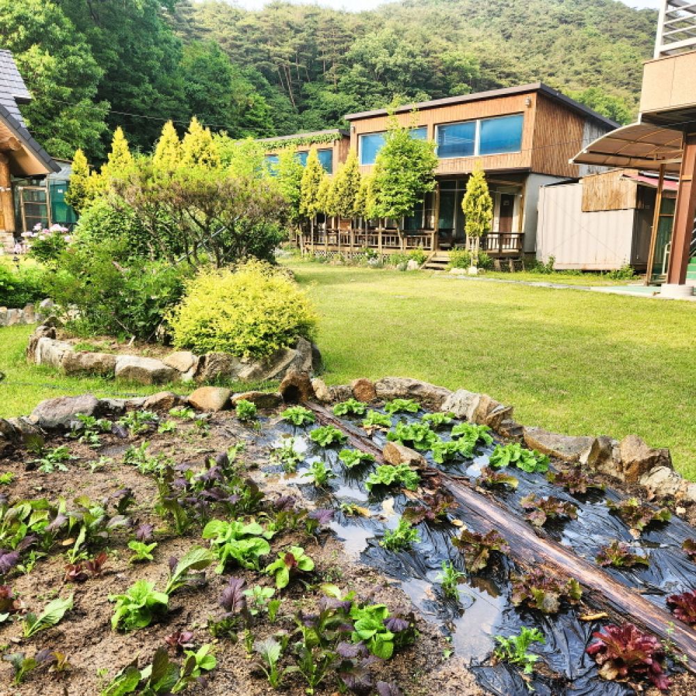 솔휴전경